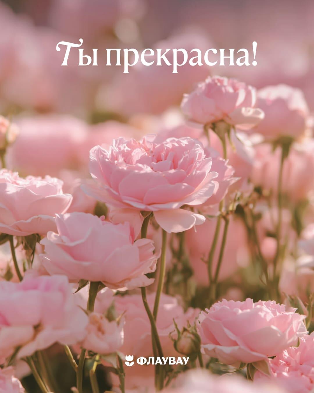 открытка с букетом роз