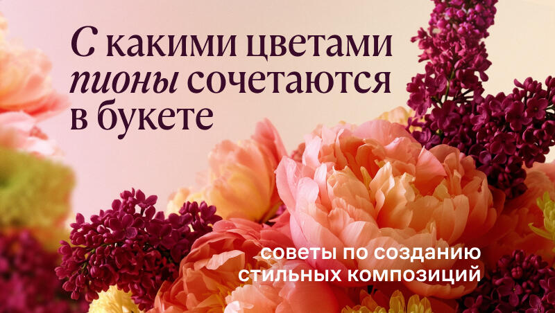 С какими цветами пионы сочетаются в букете: советы по созданию стильных композиций