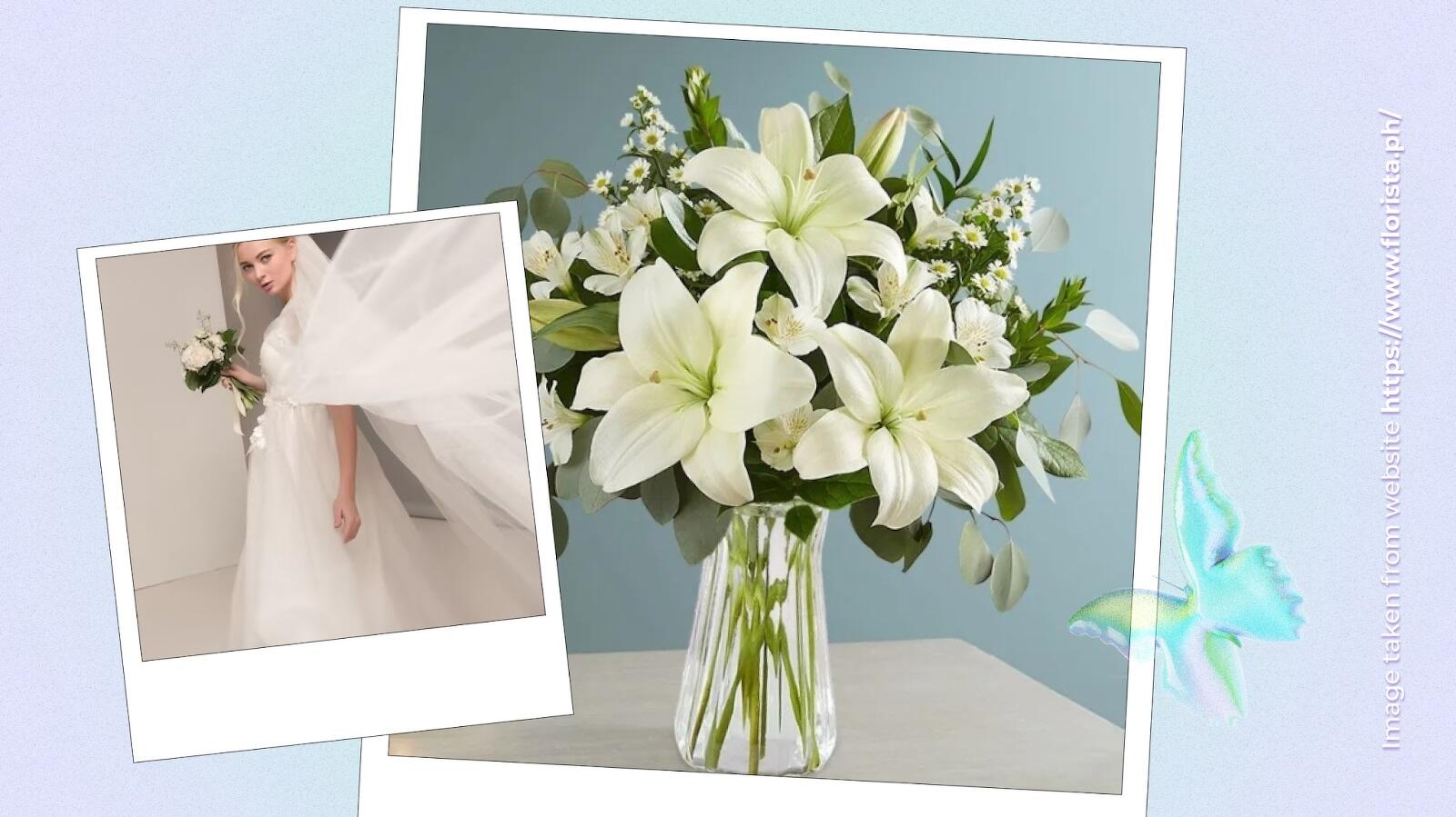 White Flowers: Embodying Elegance, Purity, and Diverse Symbolism