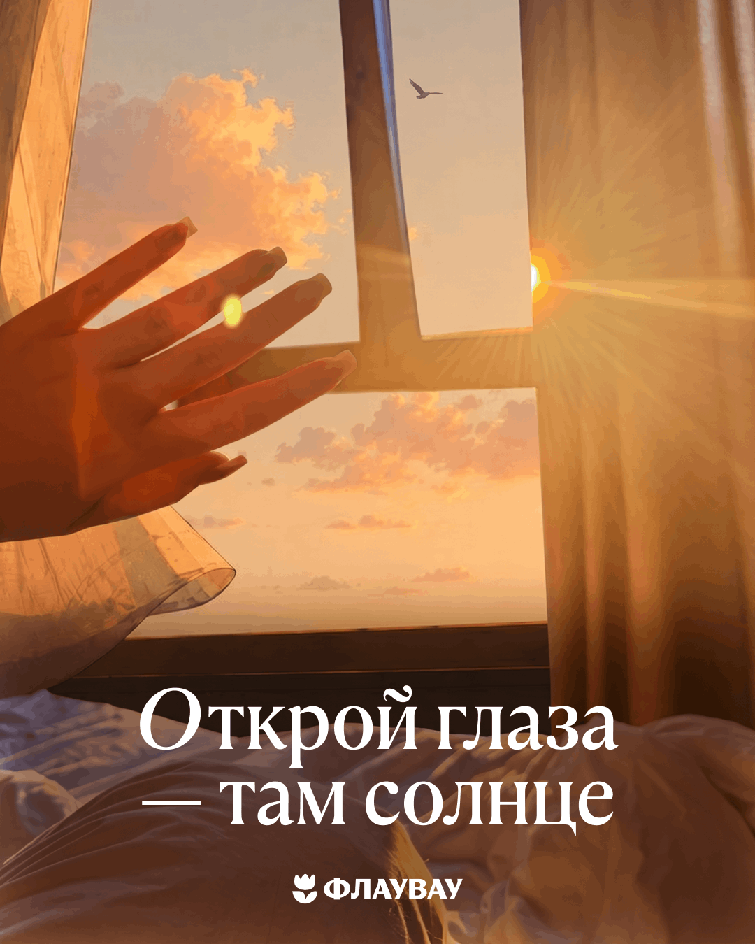 открытки доброе утро добра красивые