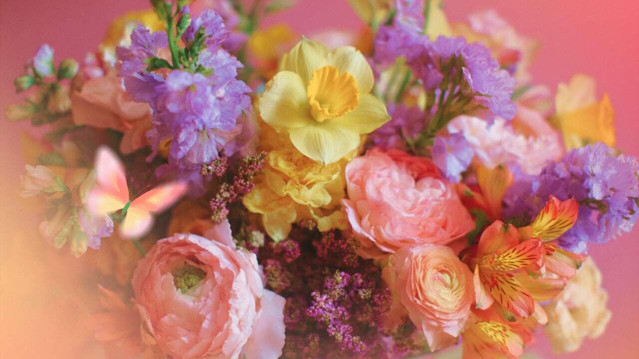 близнецы цветок