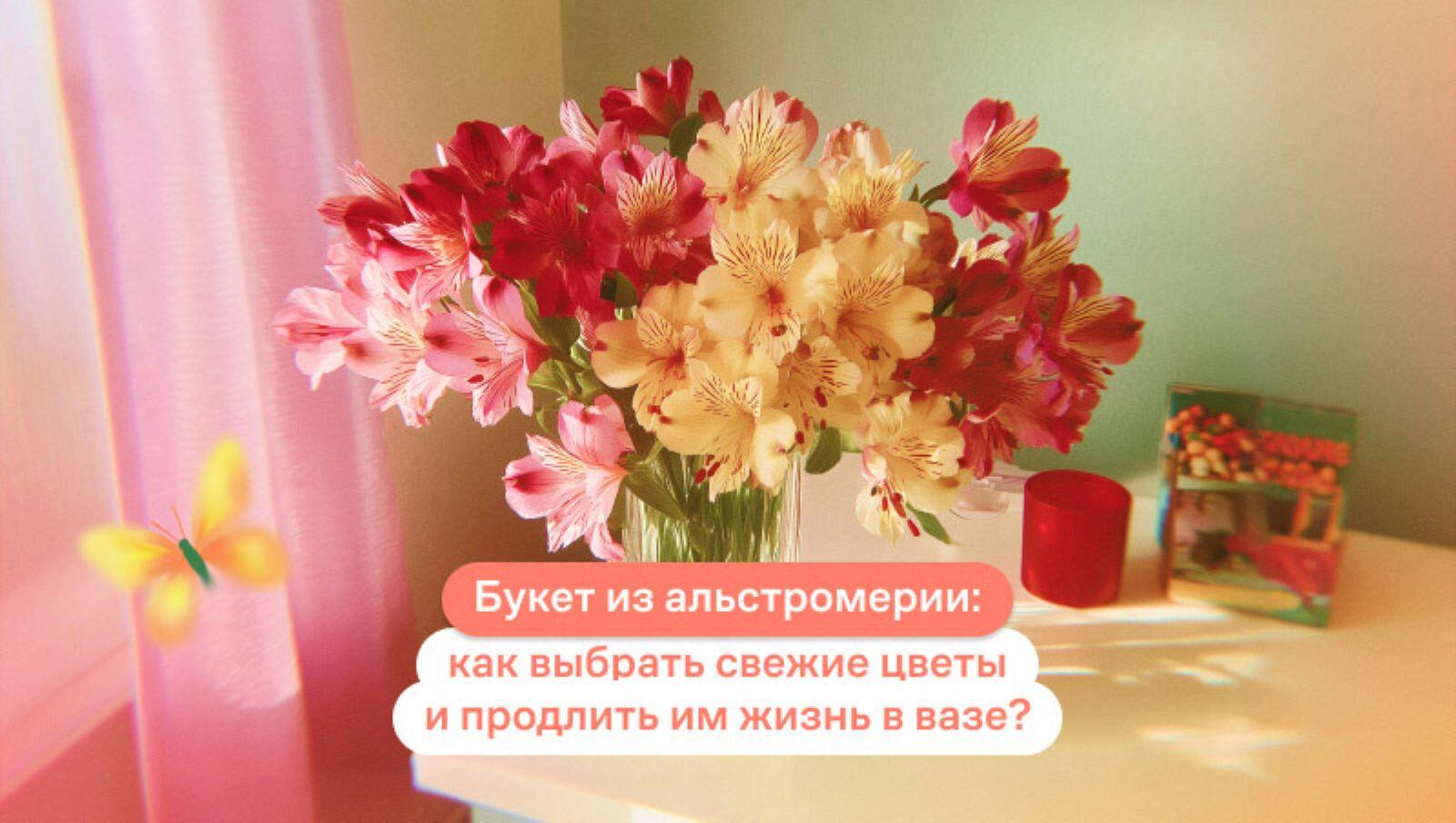 Букет из альстромерии: как выбрать свежие цветы и продлить им жизнь в вазе?
