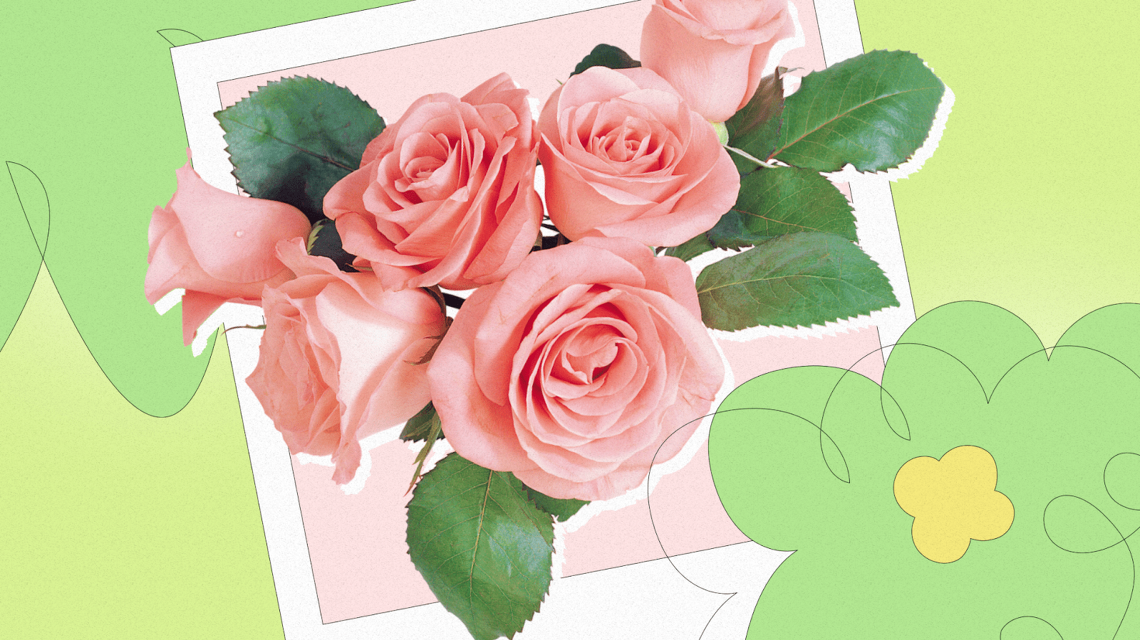 What do pink roses mean?