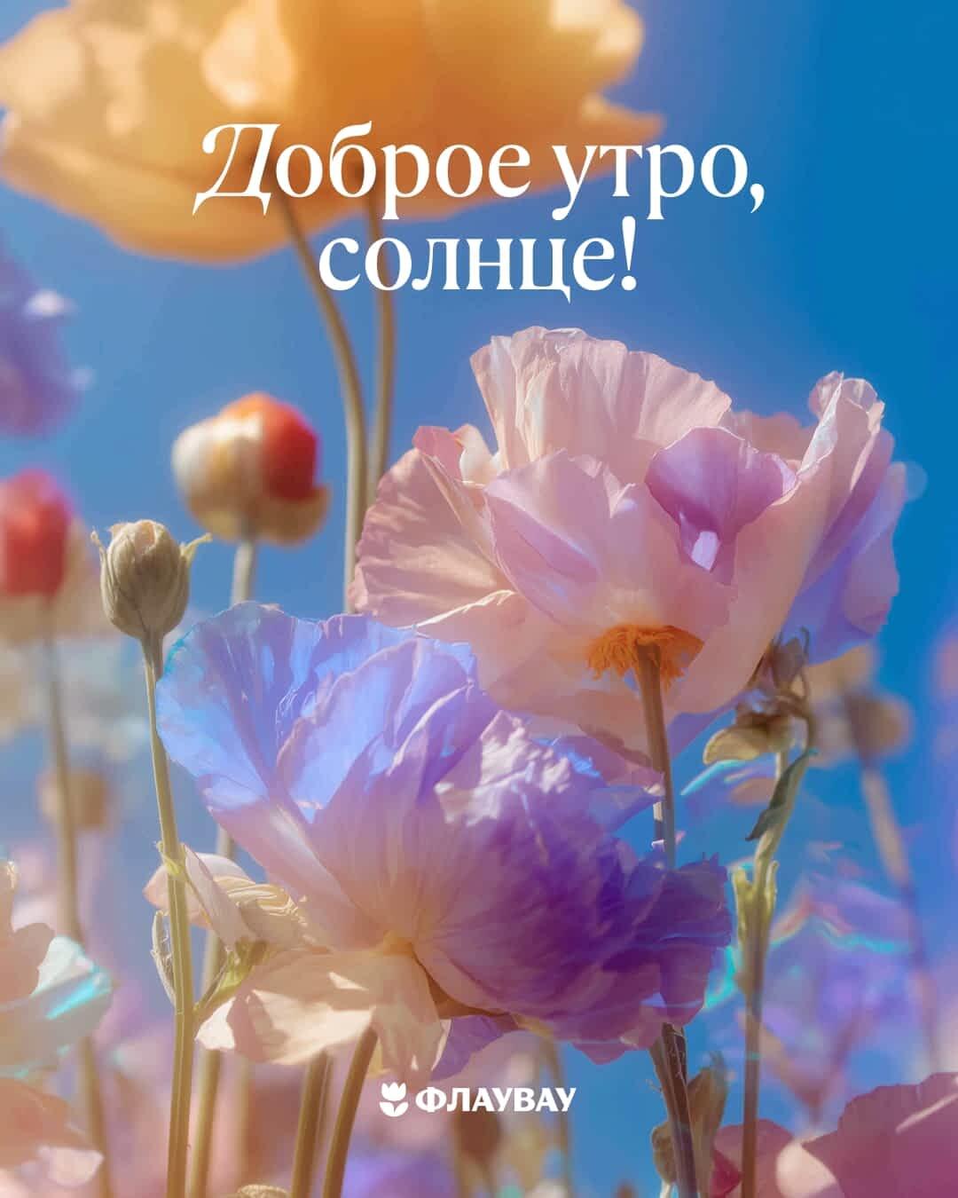открытки с добрым утром летние красивые новые