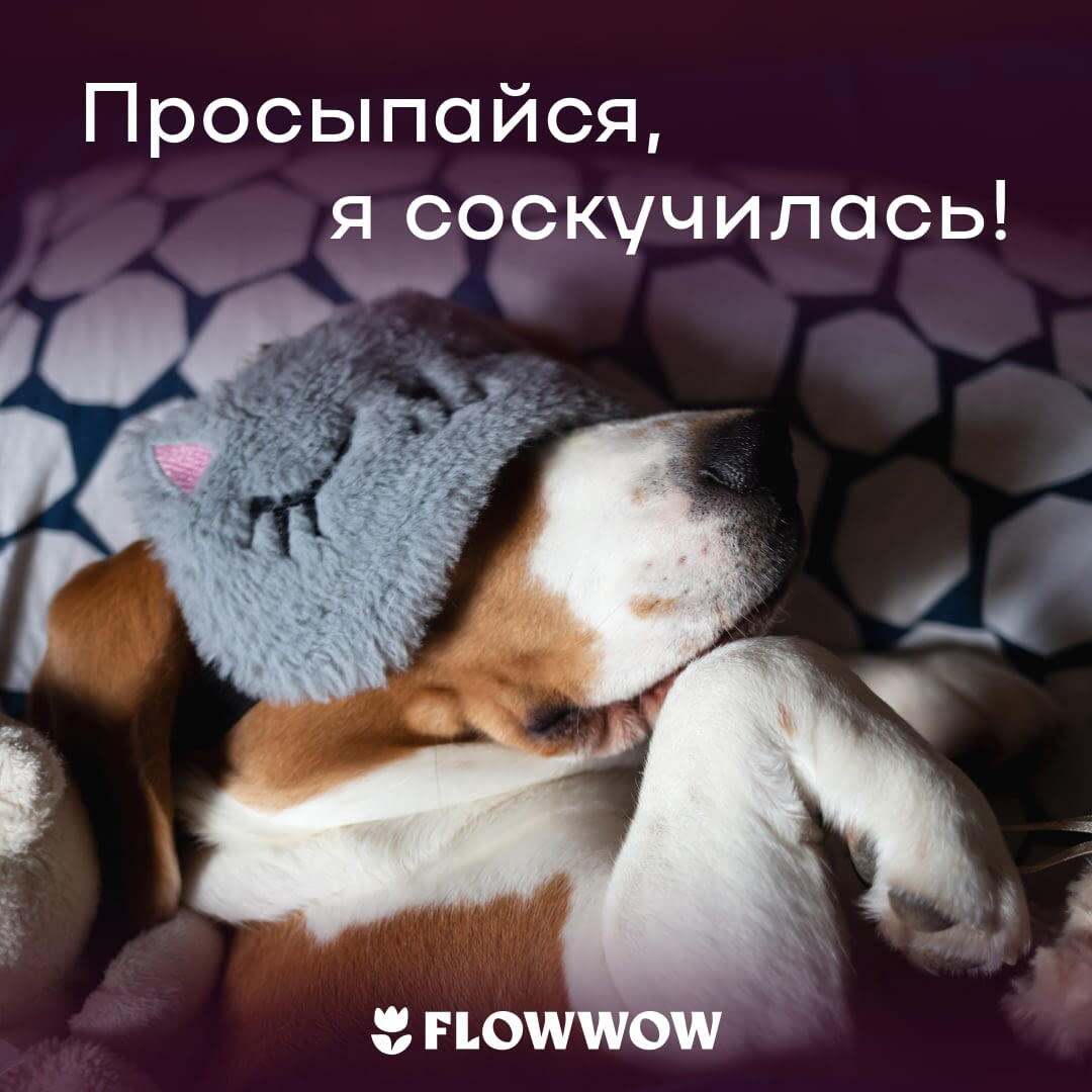 Открытка с добрым утром мужчине