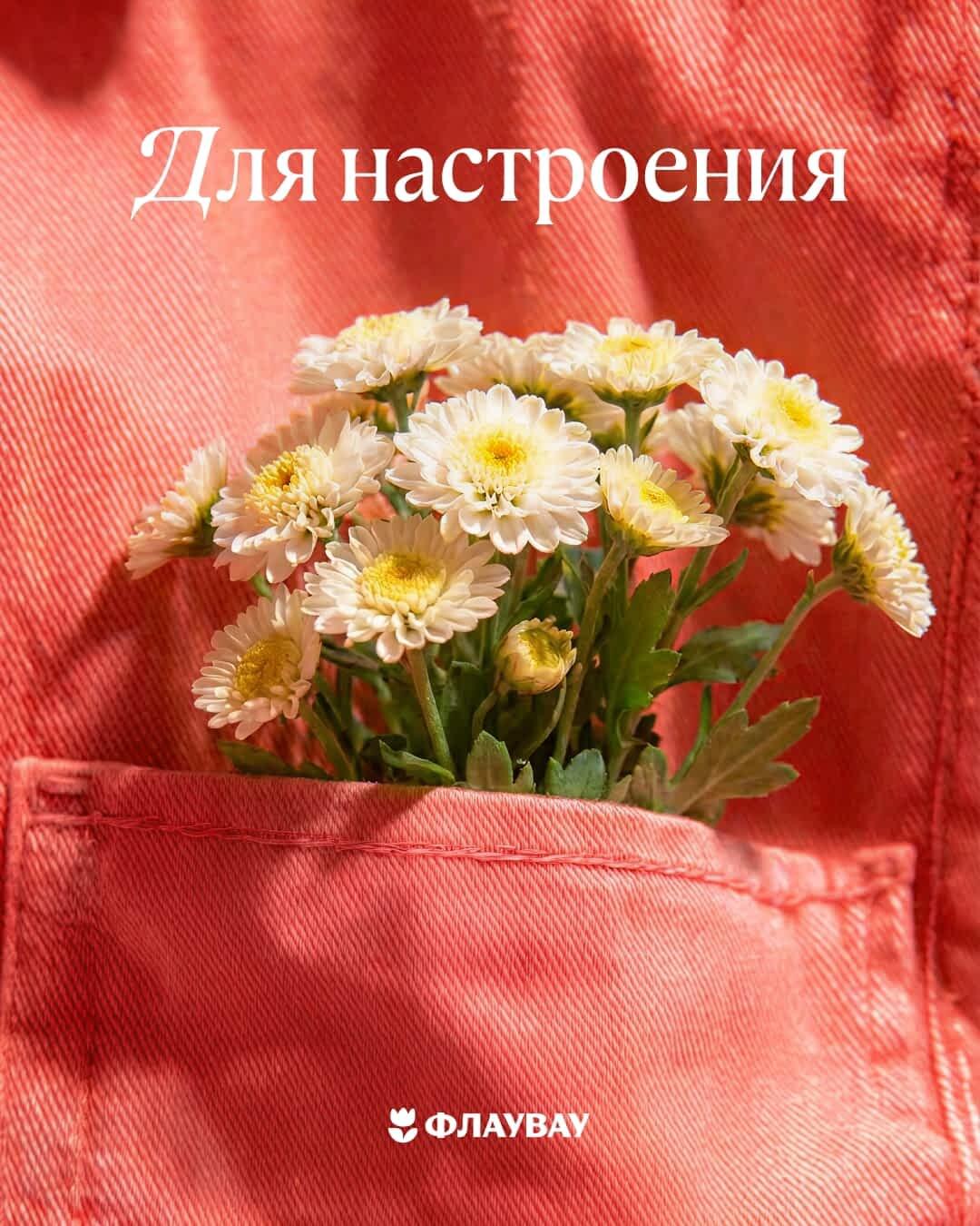 скачать красивую летнюю открытку