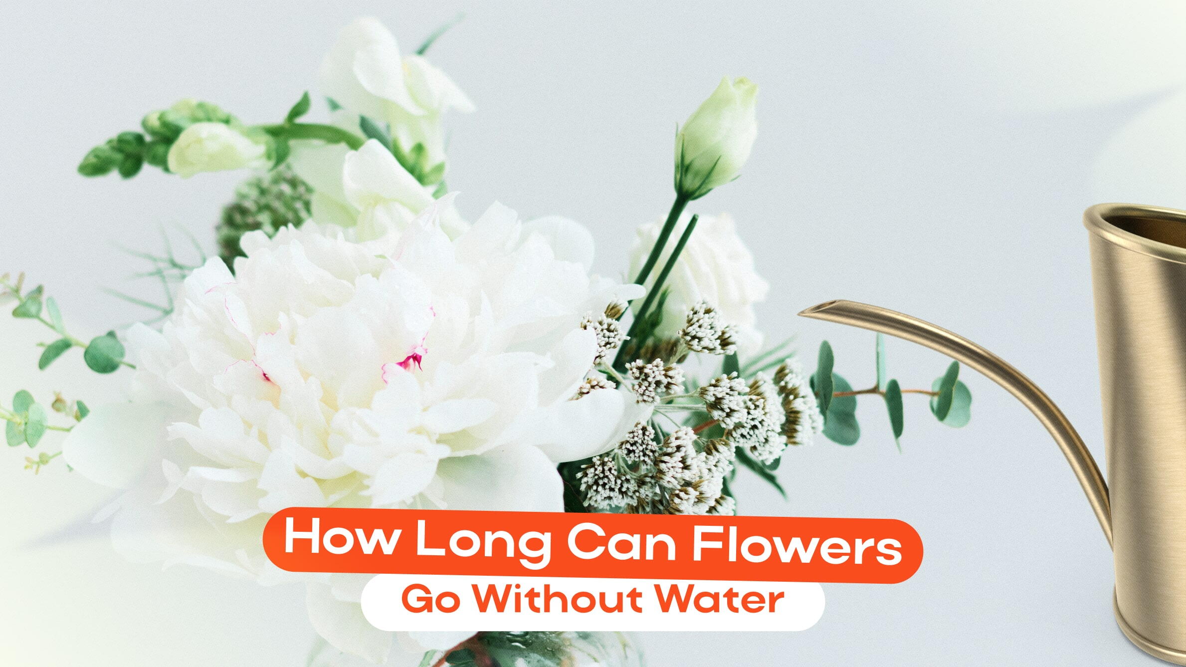 How Long Can Flowers Go Without Water