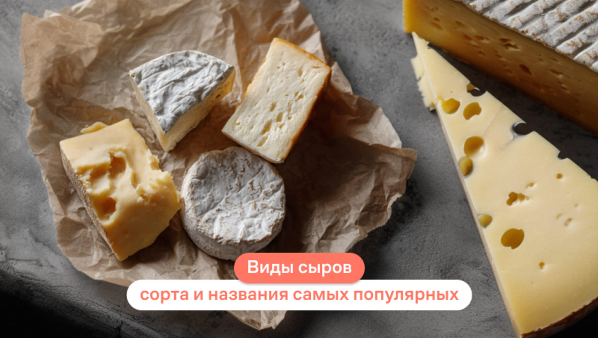 Виды сыров: сорта и названия самых популярных