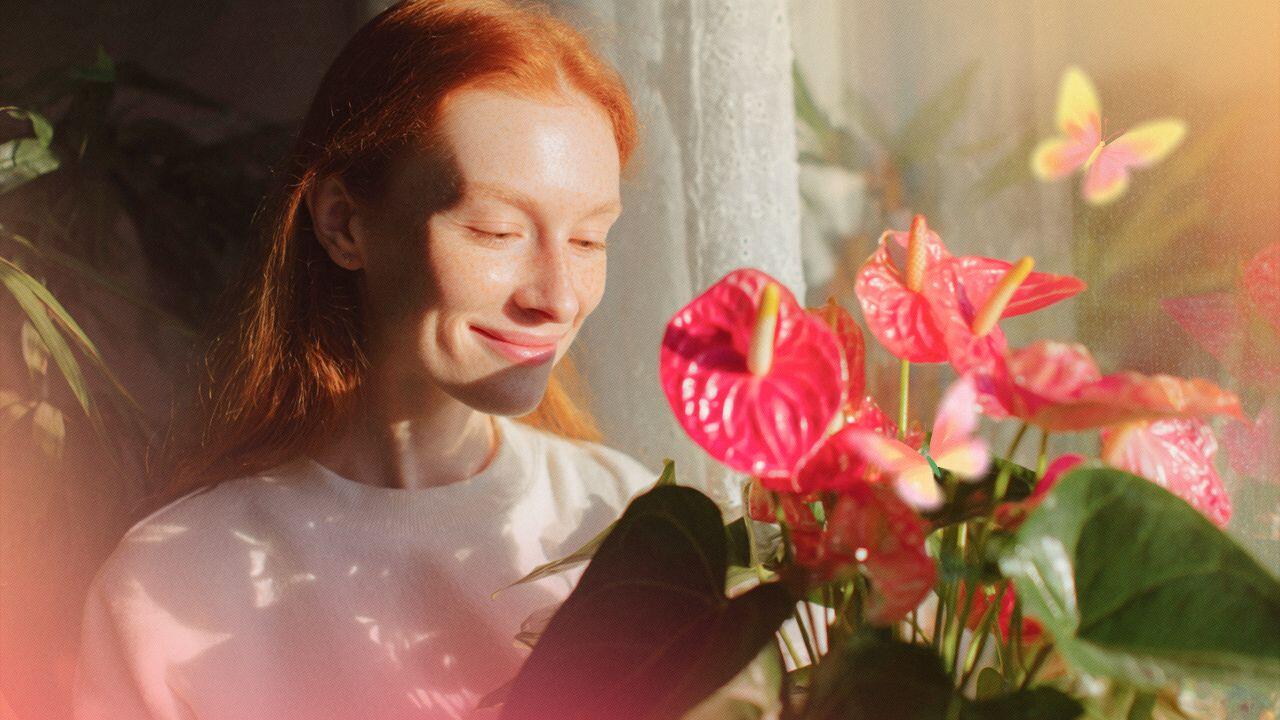 какие цветы подходят по знаку зодиака стрелец женщина