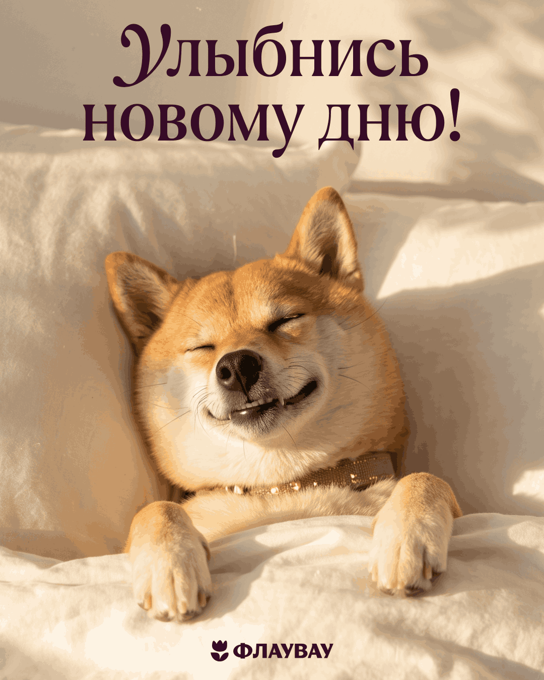 скачать бесплатно открытки добром утром
