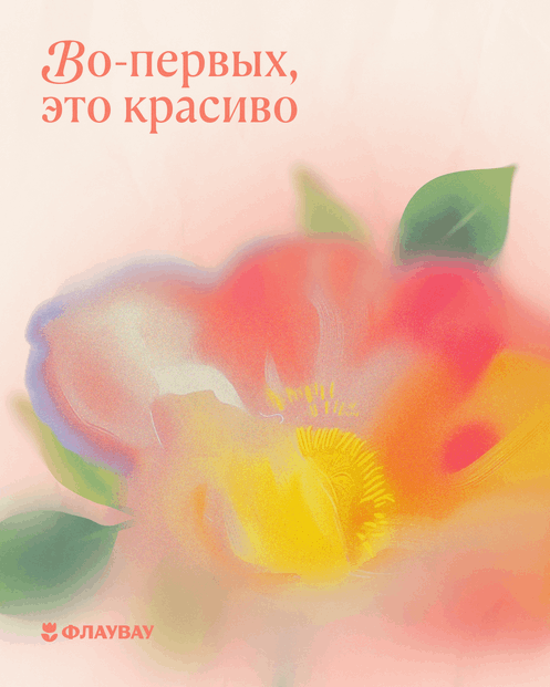 открытки с полевыми цветами