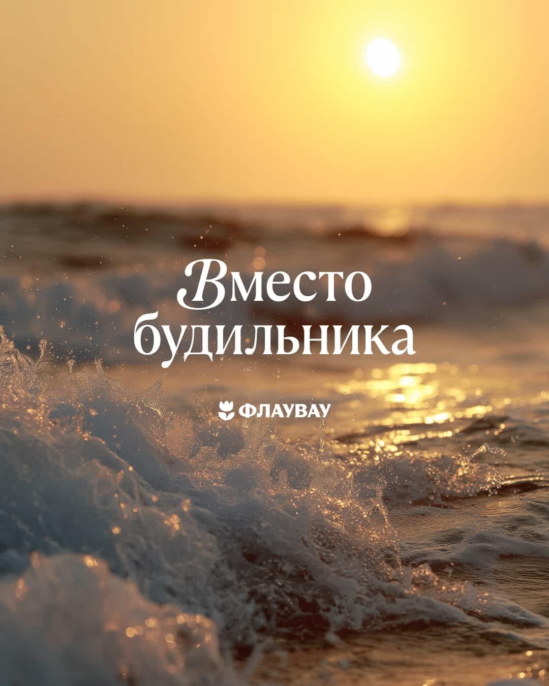 скачать красивую летнюю открытку