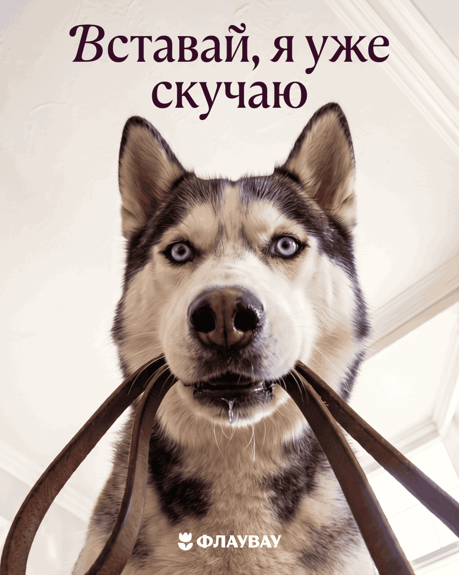 скачать добро открытку с добрым утром