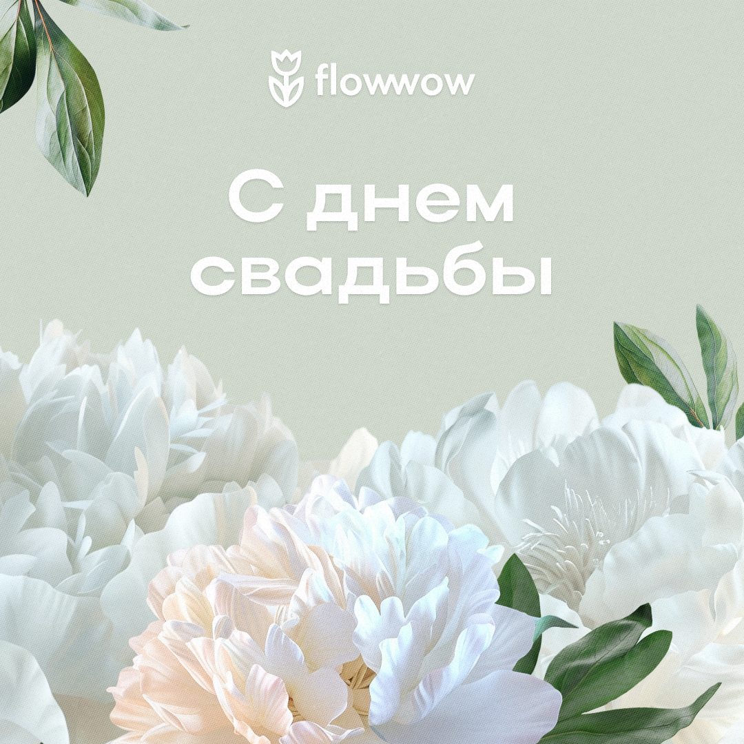 Нежные пионы картинки