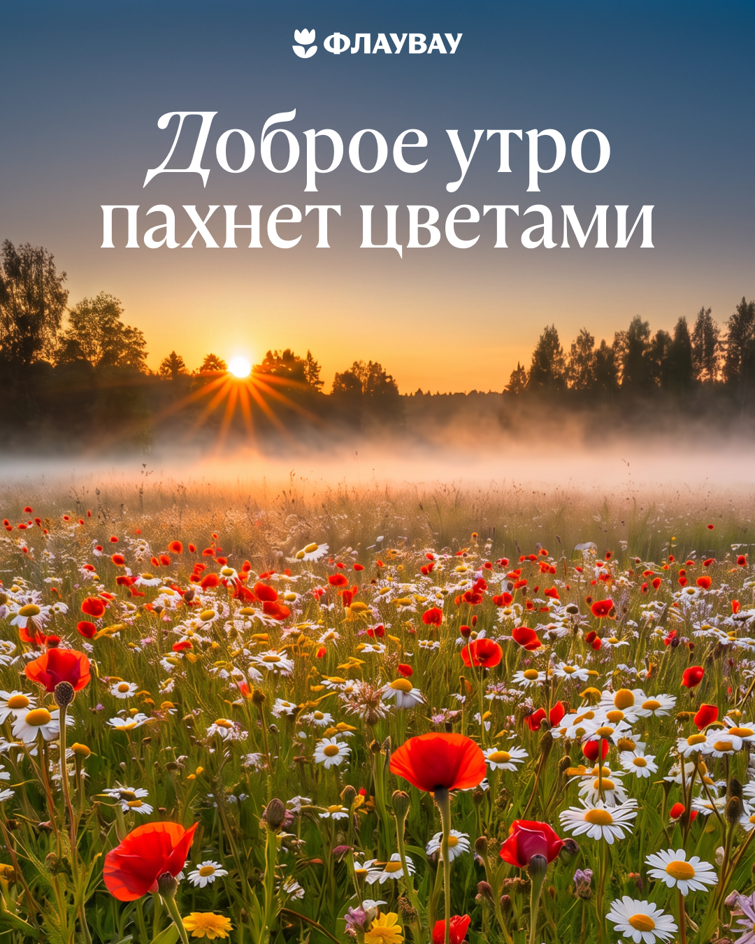 новые открытки с добром утром