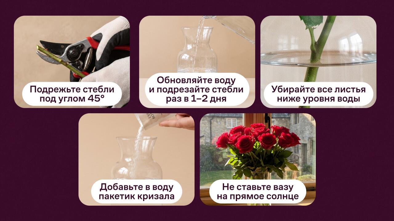 сорт роз долго стоящих в вазе