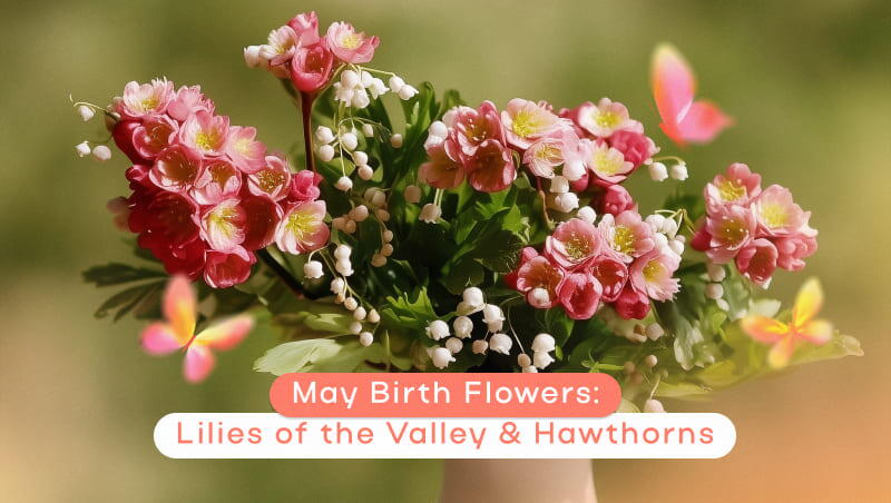 May Birth Flowers: Lily of the Valley & Hawthorn