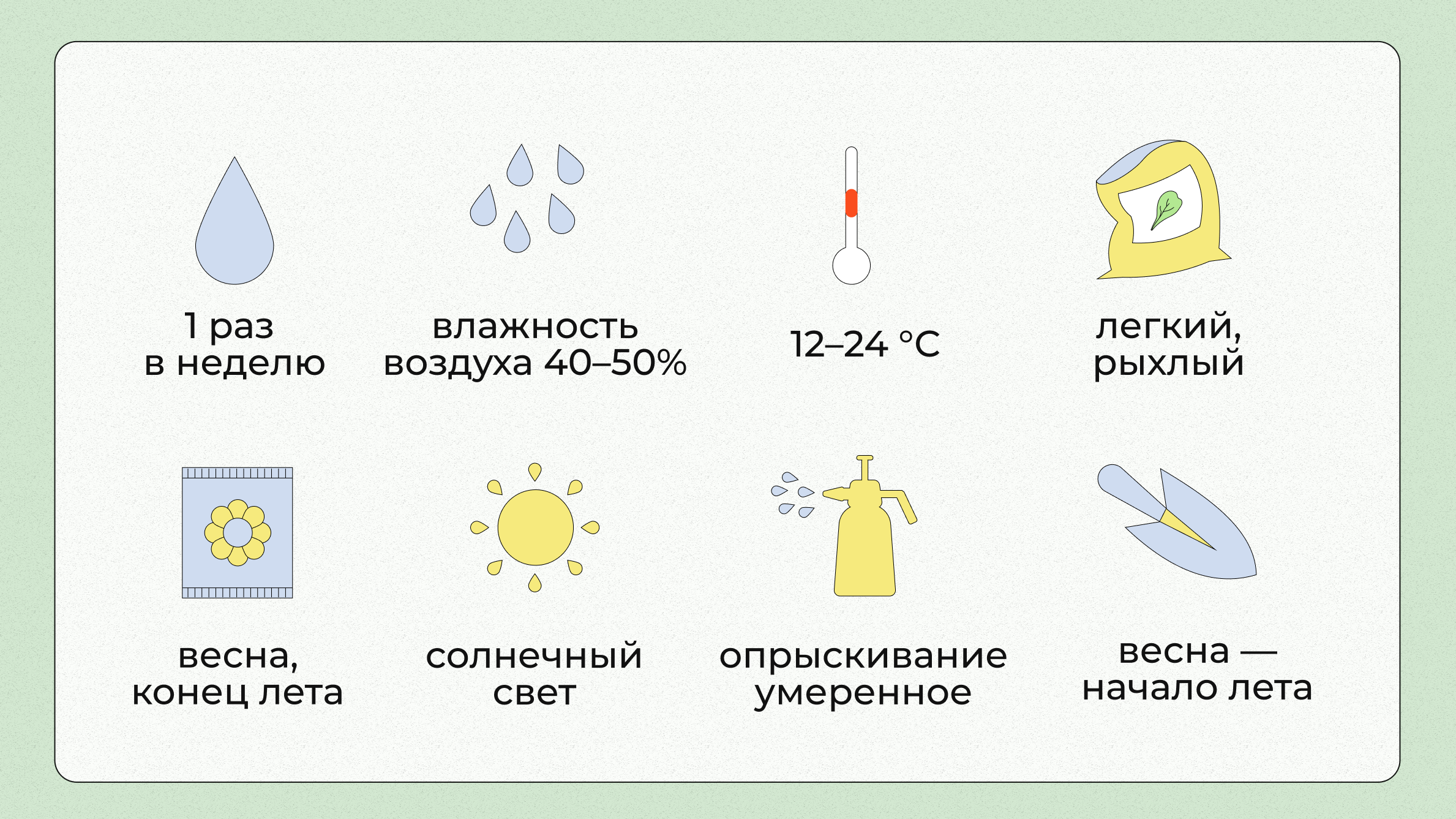 Пальма арека - уход в домашних условиях