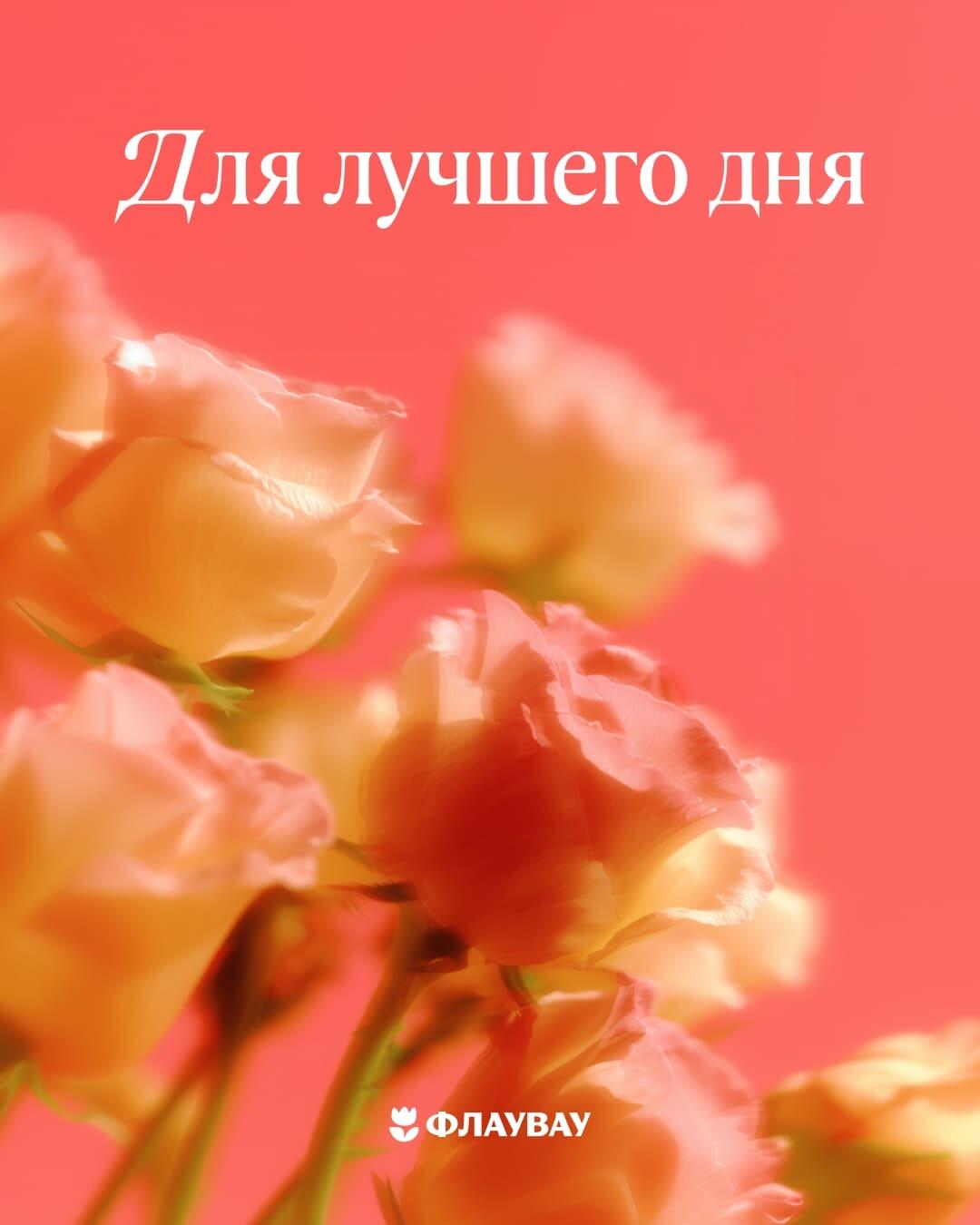 открытки с розами бесплатно