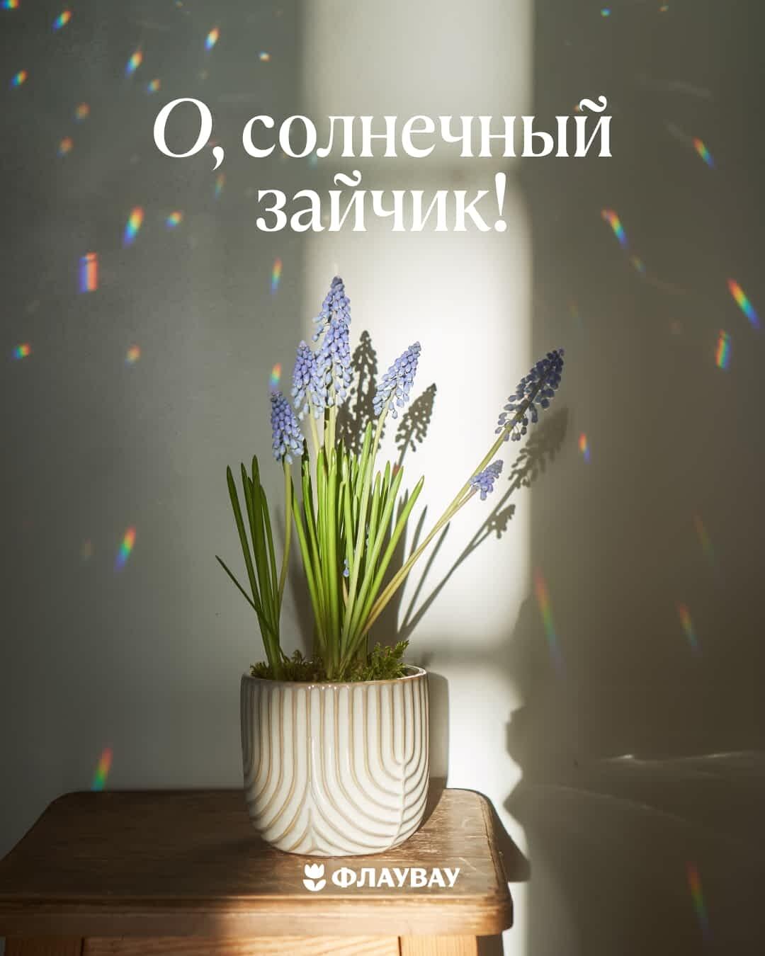 летние открытки добро утро