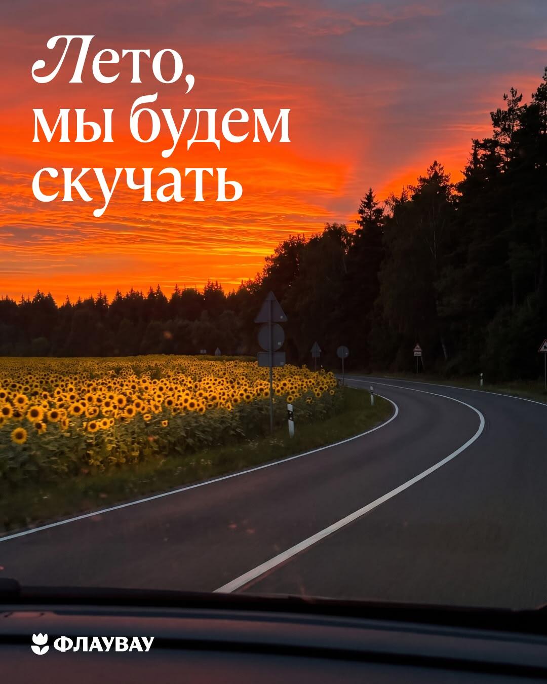 открытки последний день лета