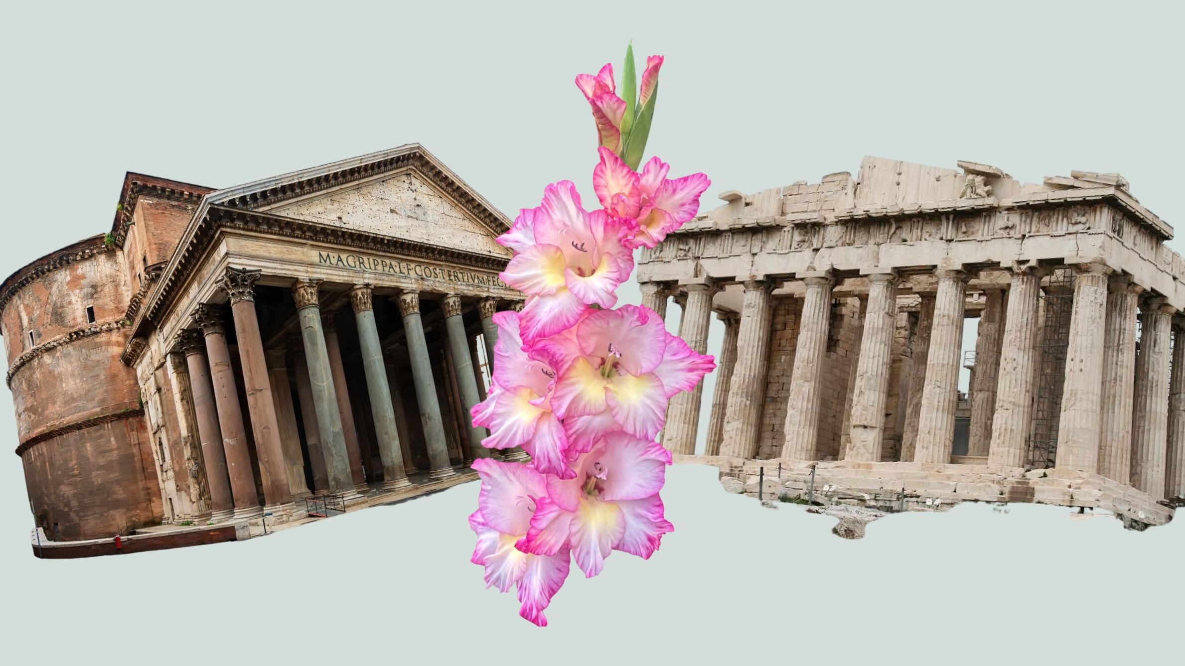 The Gladiolus Flower in History