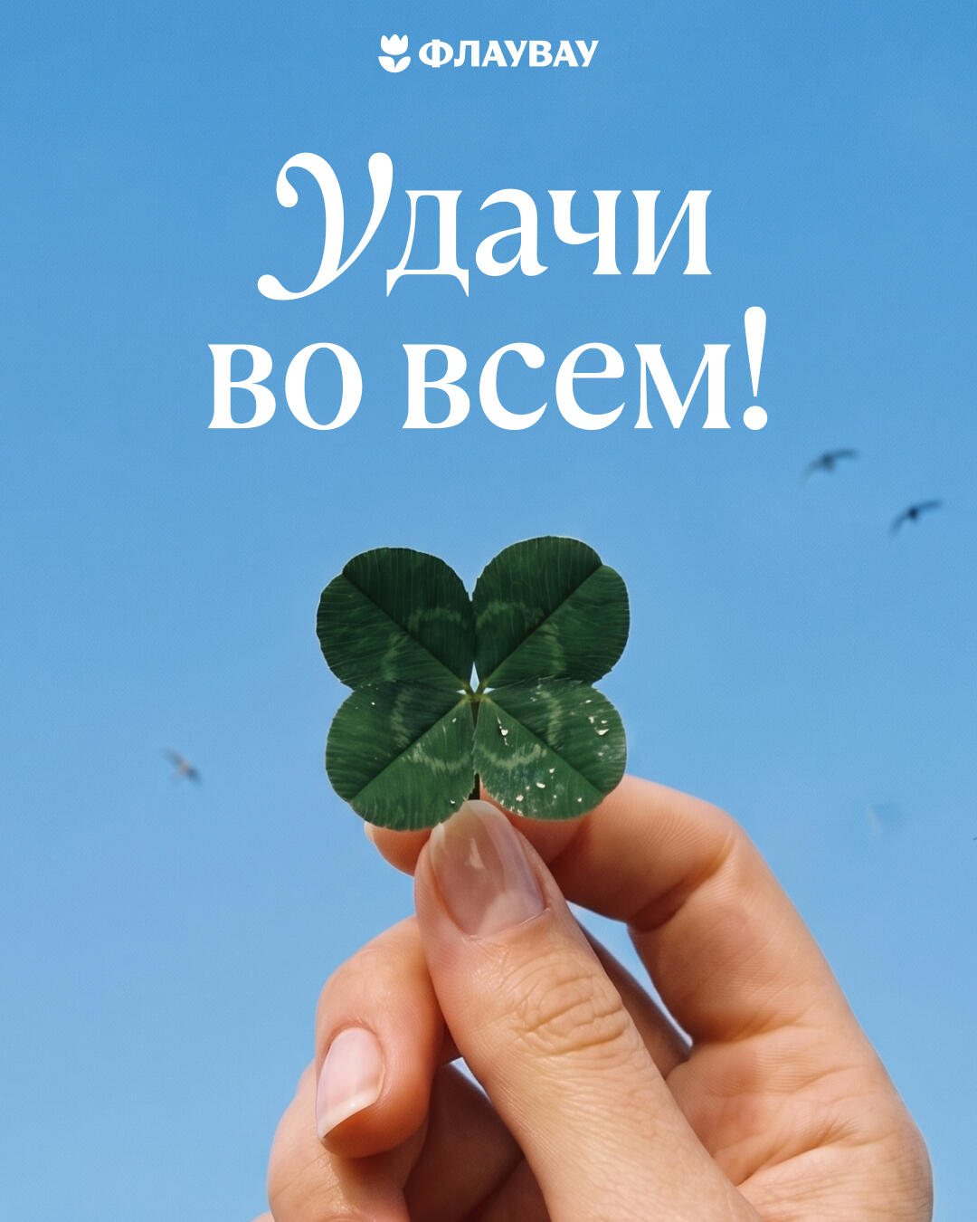 поздравление с днем студента