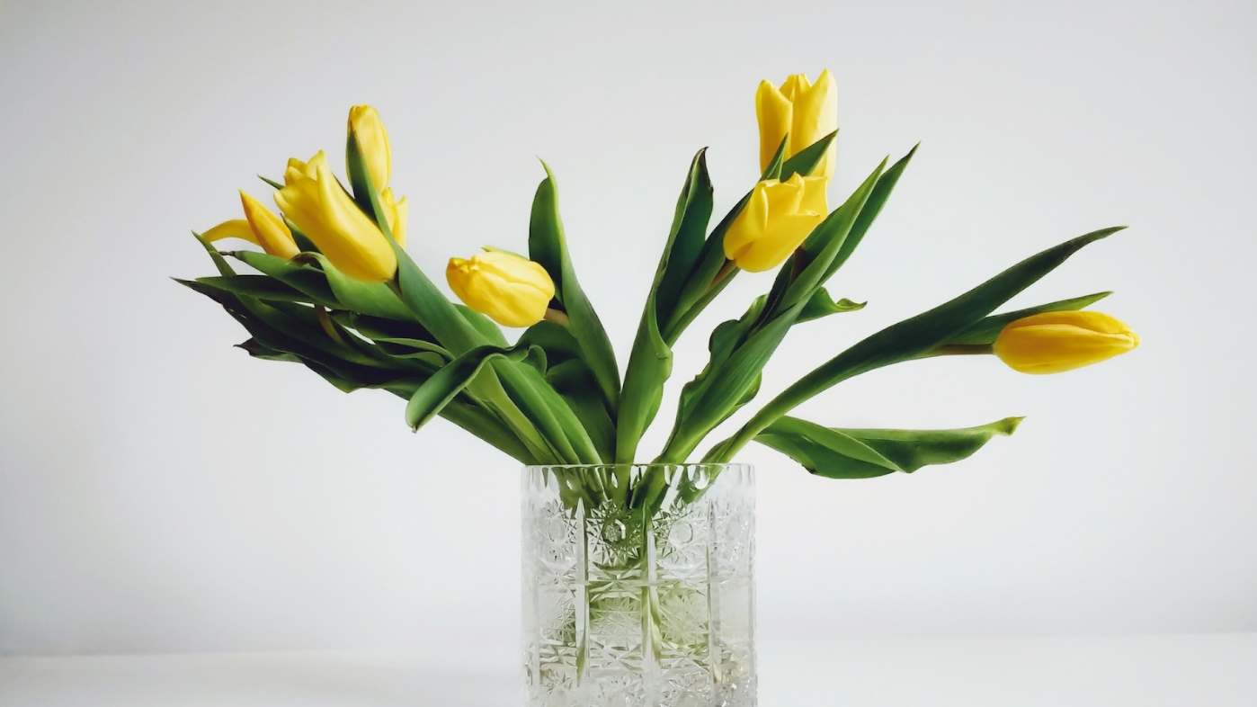 Как сохранить тюльпаны, что сделать, чтобы тюльпаны дольше стояли | «Цветочный блюз»