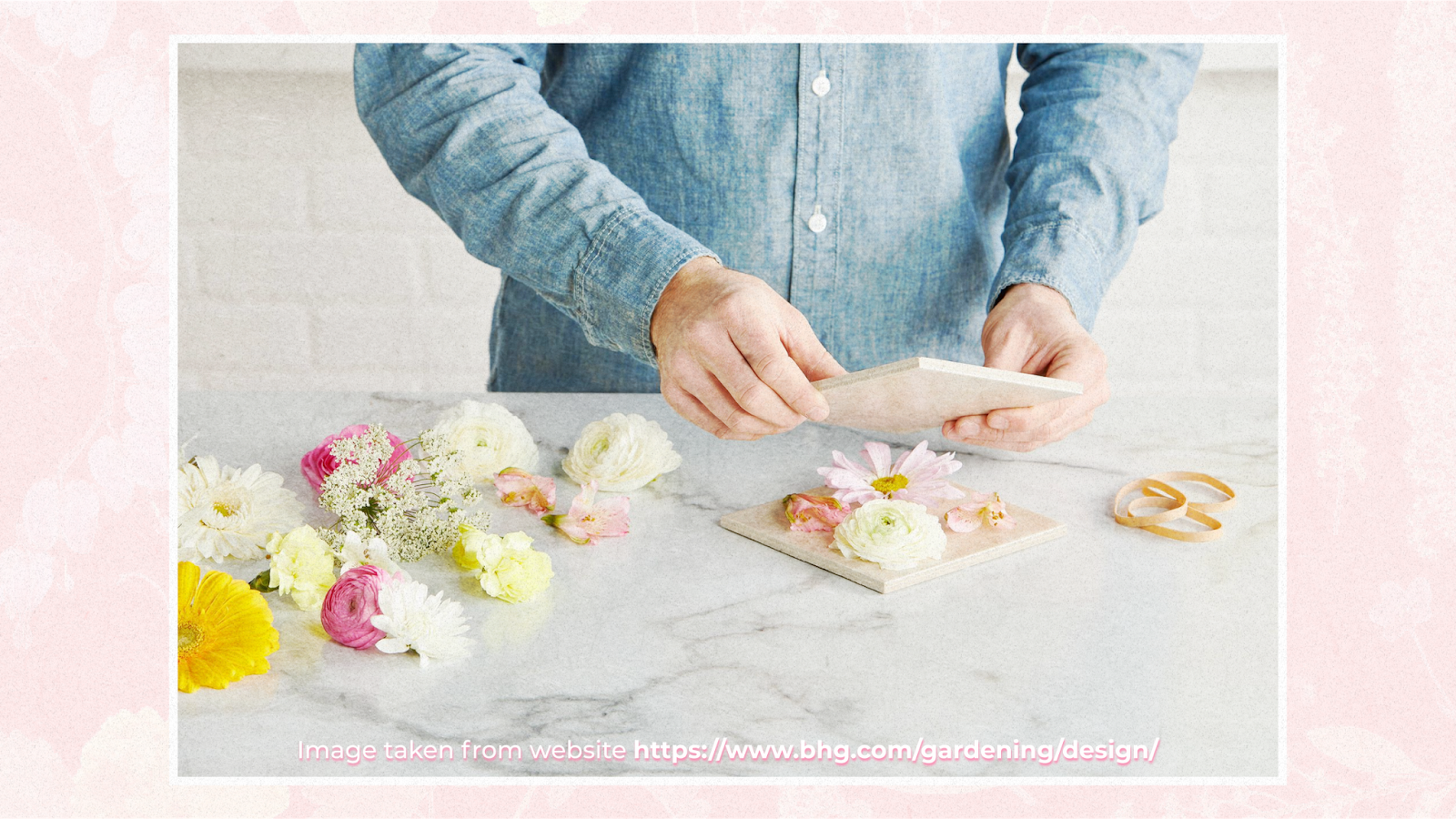 How to dry and press flowers