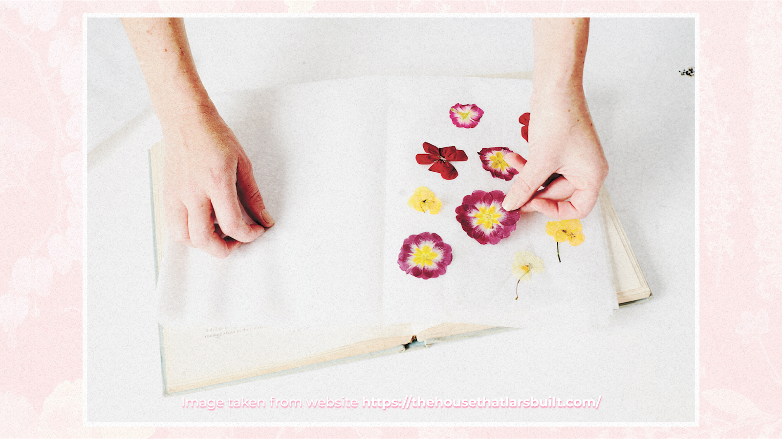 How to dry flowers in a book