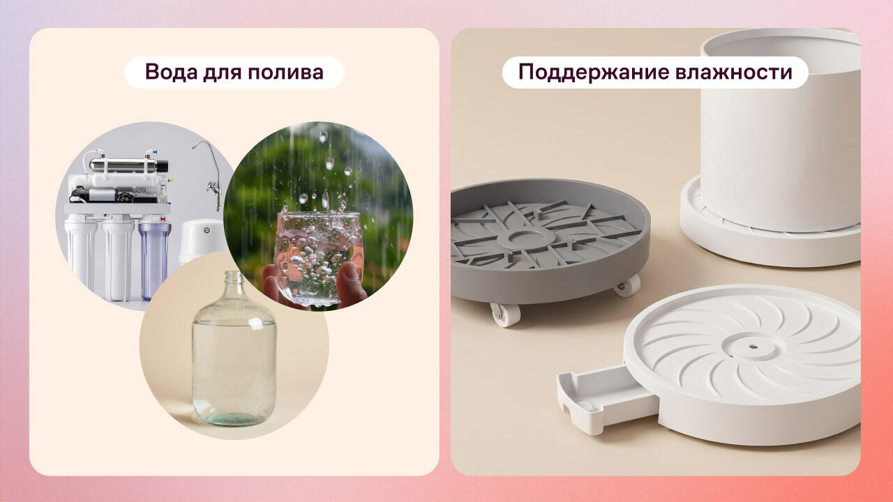 Полив и влажность воздуха