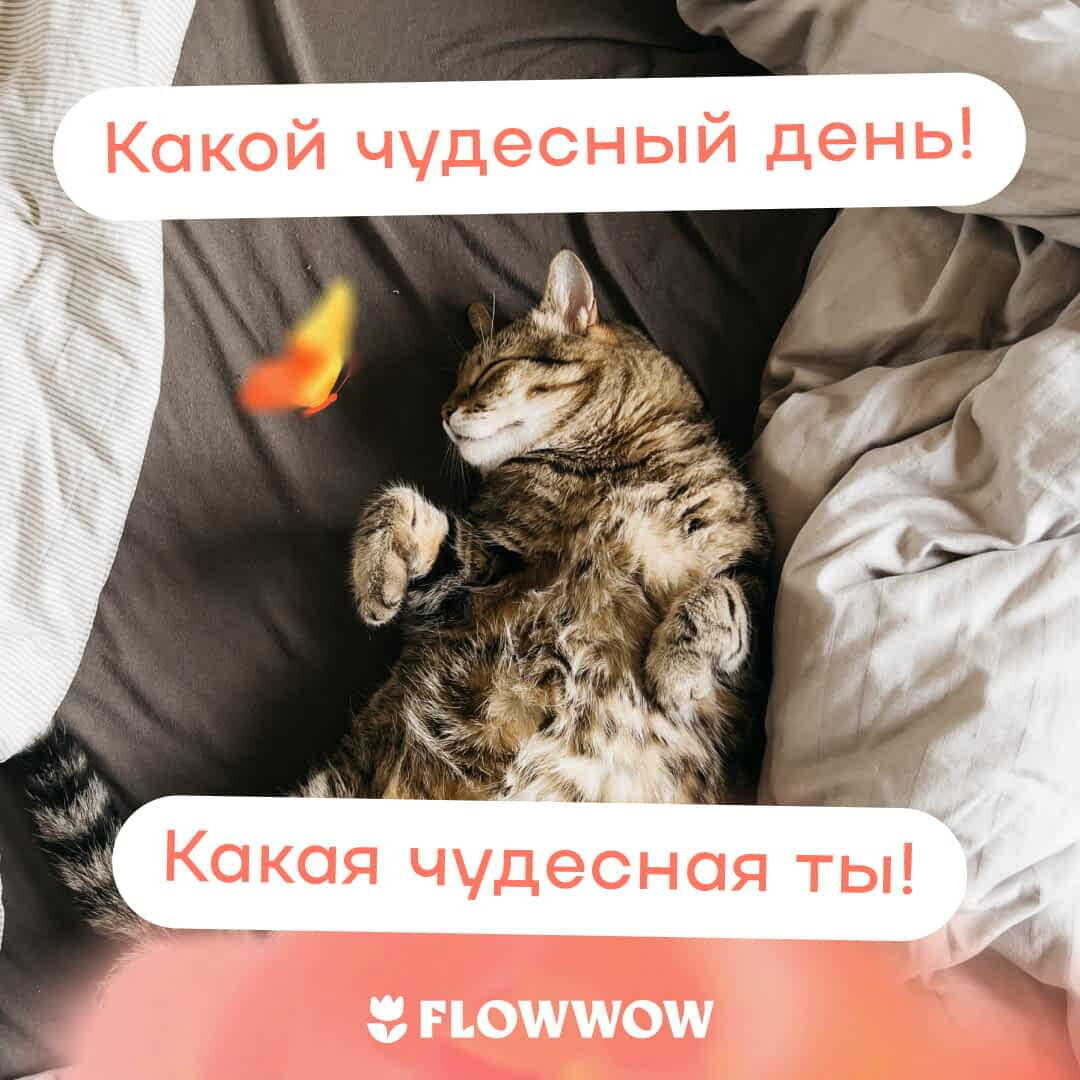 Открытка с добрым утром женщине