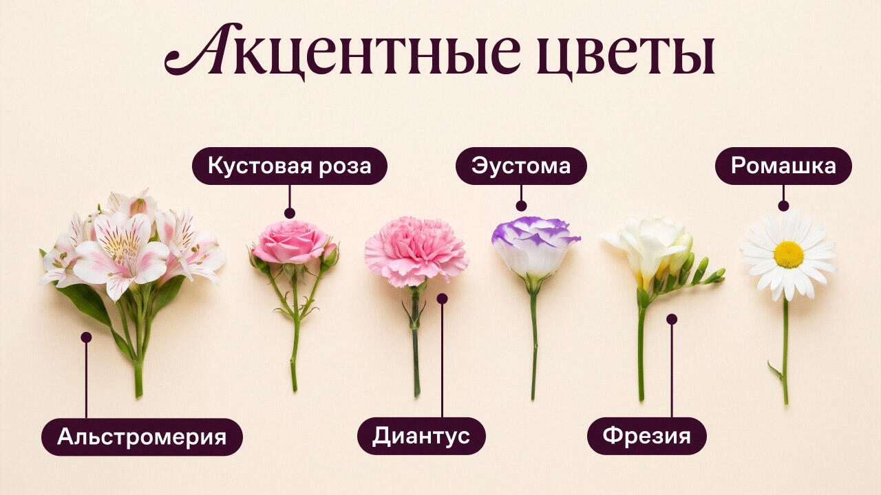 Акцентные цветы