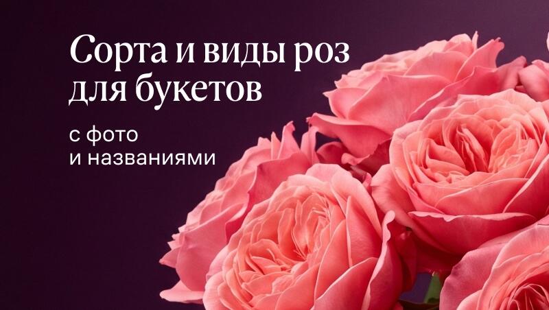 Сорта и виды роз для букетов с фото и названиями