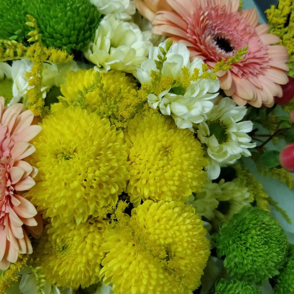 Merry morning