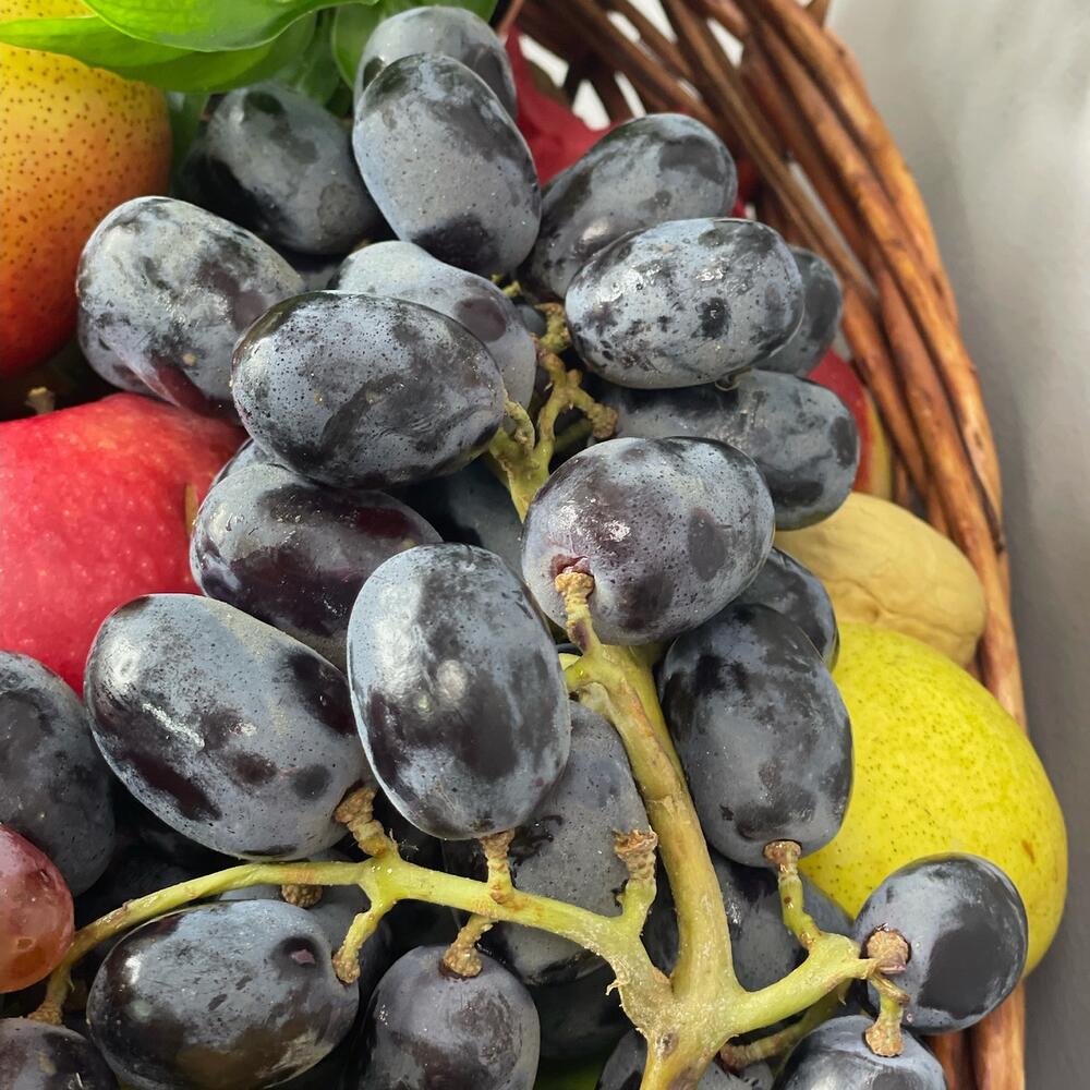 Basket of fruits , Nuts , spacifillum