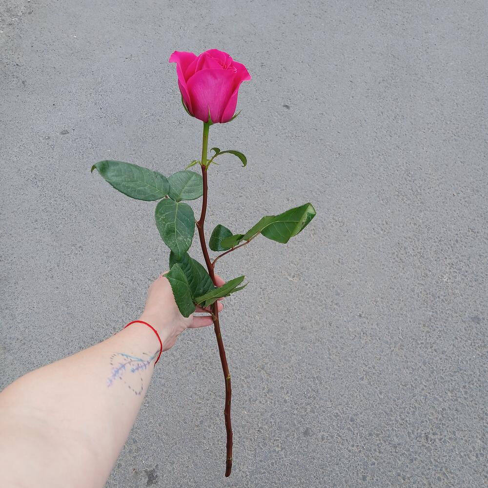 review-photo