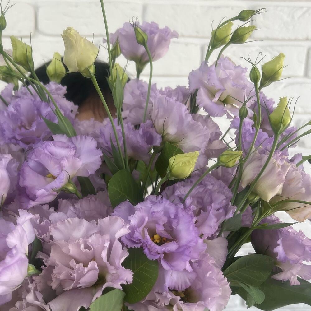 Planter «lilac breeze»