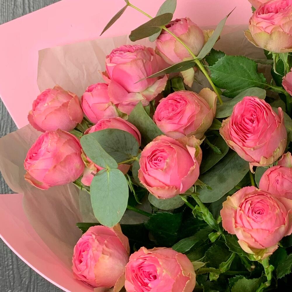 Rosa gamma