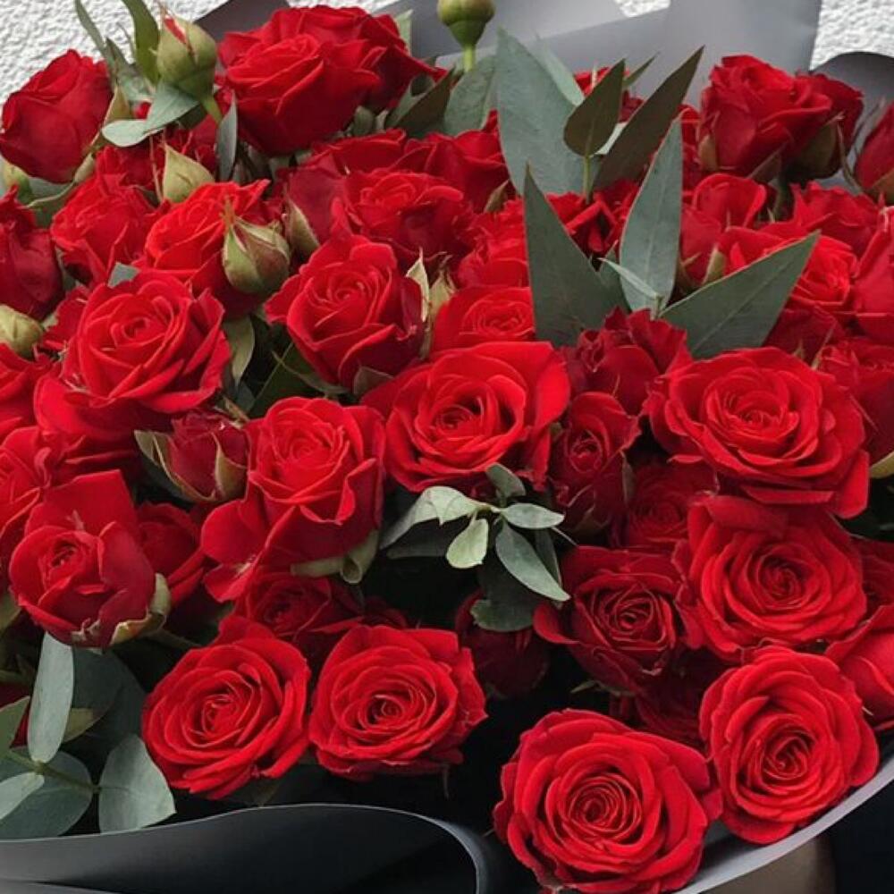 Кустовая Роза 🌹