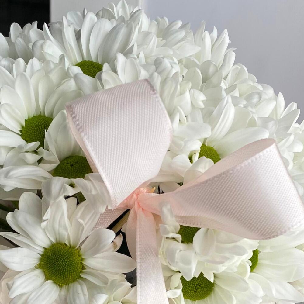 A delicate composition of Chrysanthemums