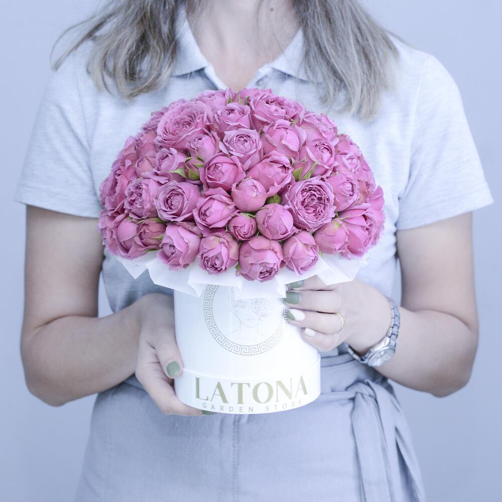 SELENE bush peony roses