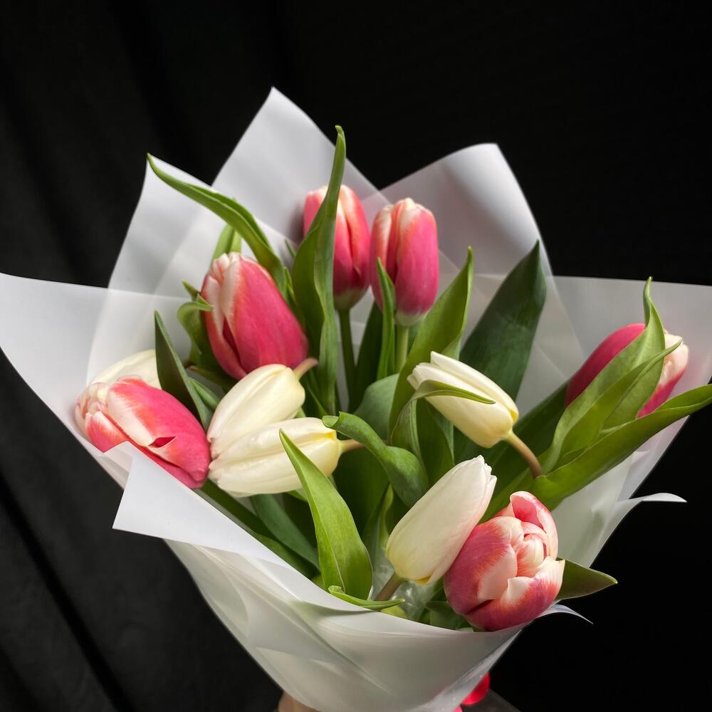 Tulips