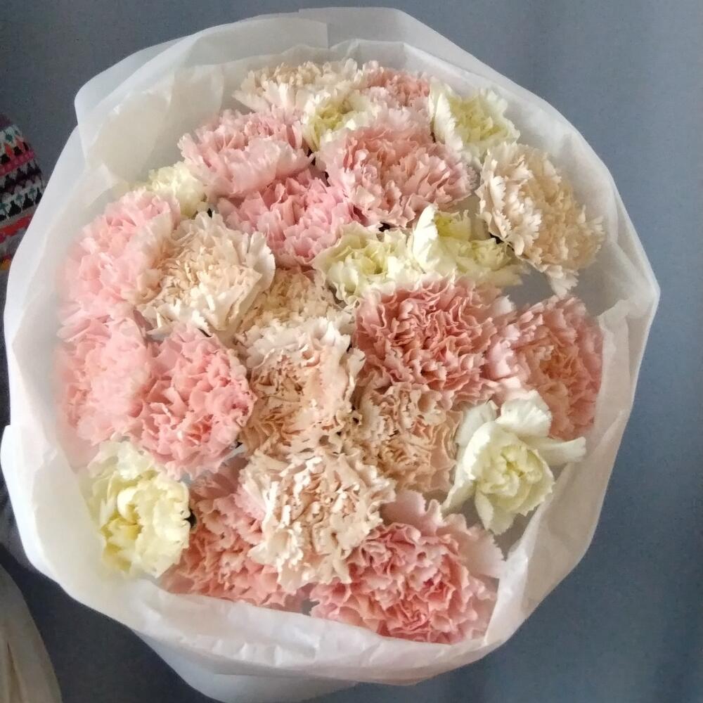 Моно из гвоздик (диантус)