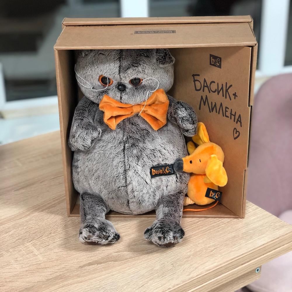 Басик мягкая игрушка 30 см кот. Мягкая игрушка "басик" в жёлтой жилетке с серым капюшоном. Басик игрушка 25 см. Басик в тт. Басик "ks22-001".