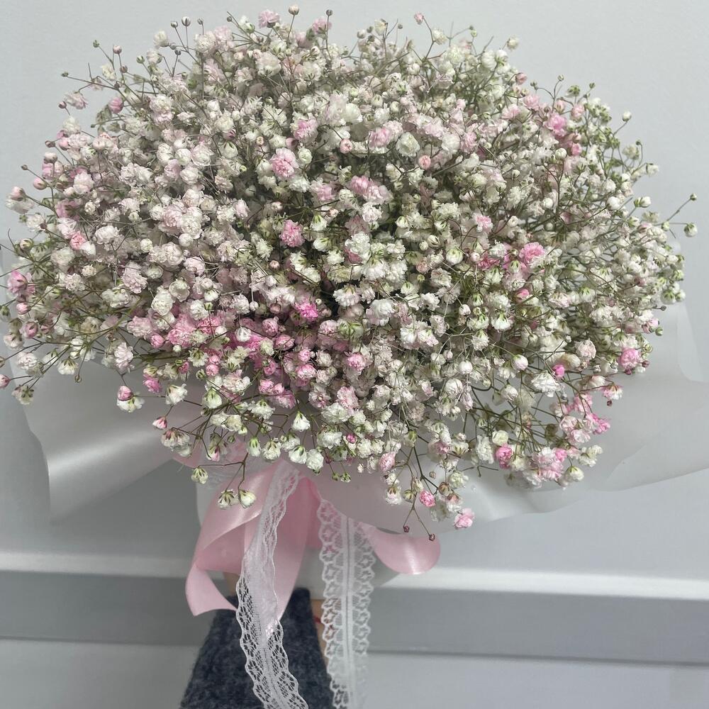 The Gypsophila cloud