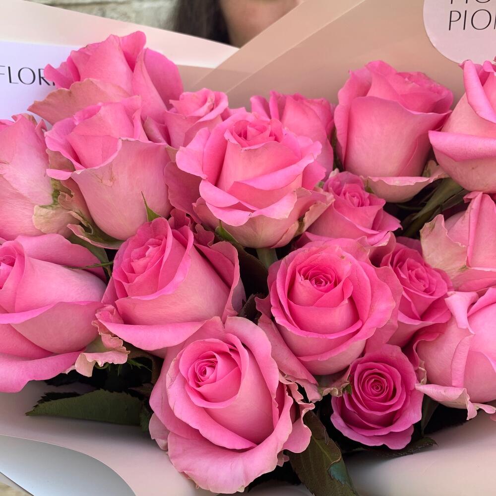 Pink dreams