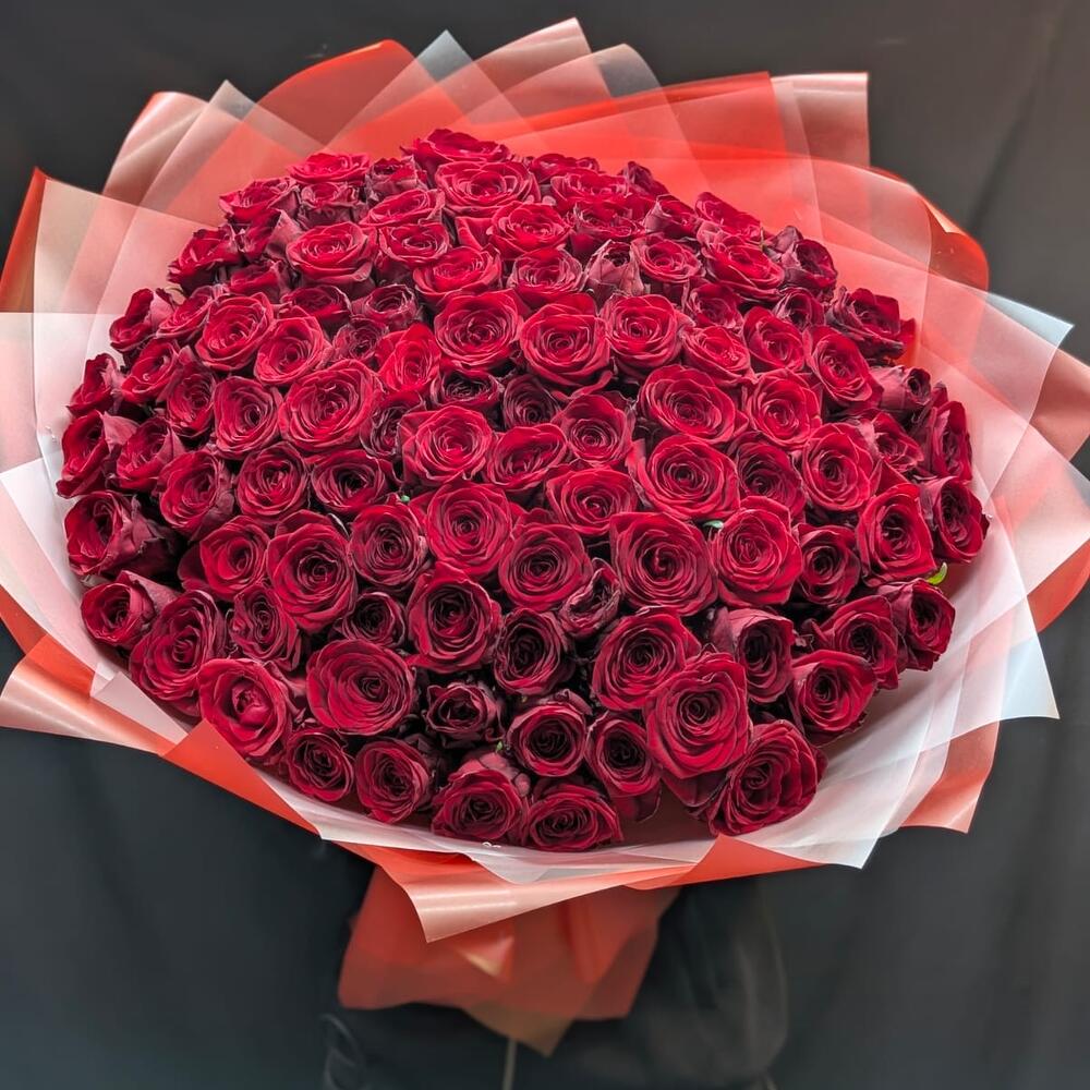 Красные розы 🥀