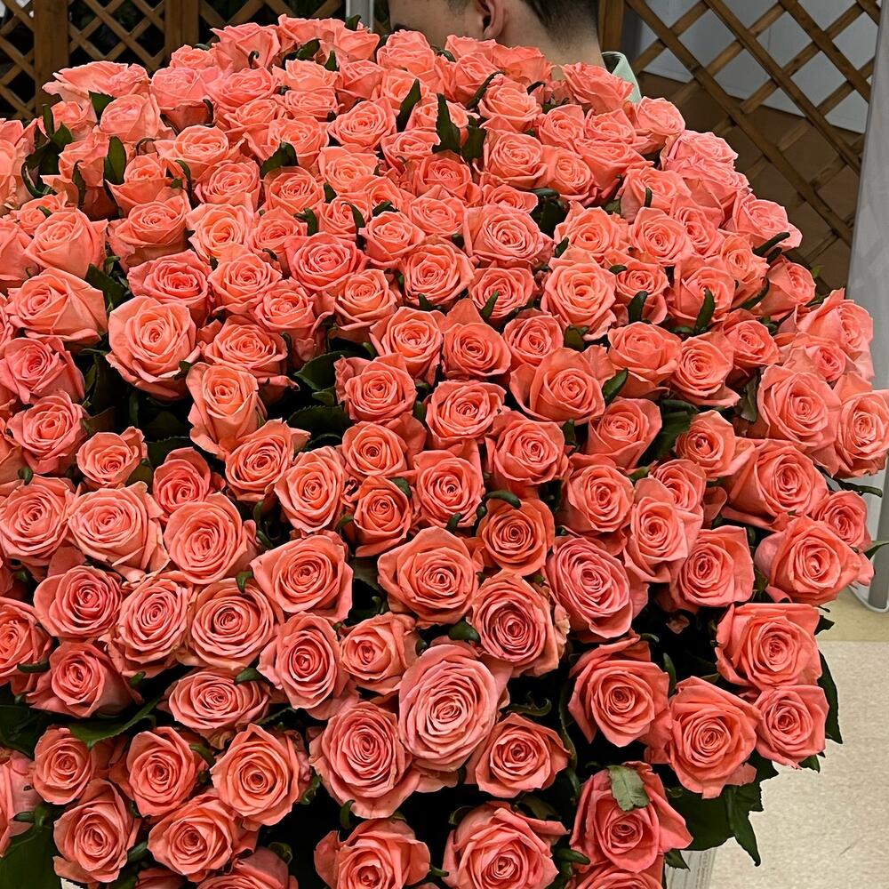 151 РОЗА 😍