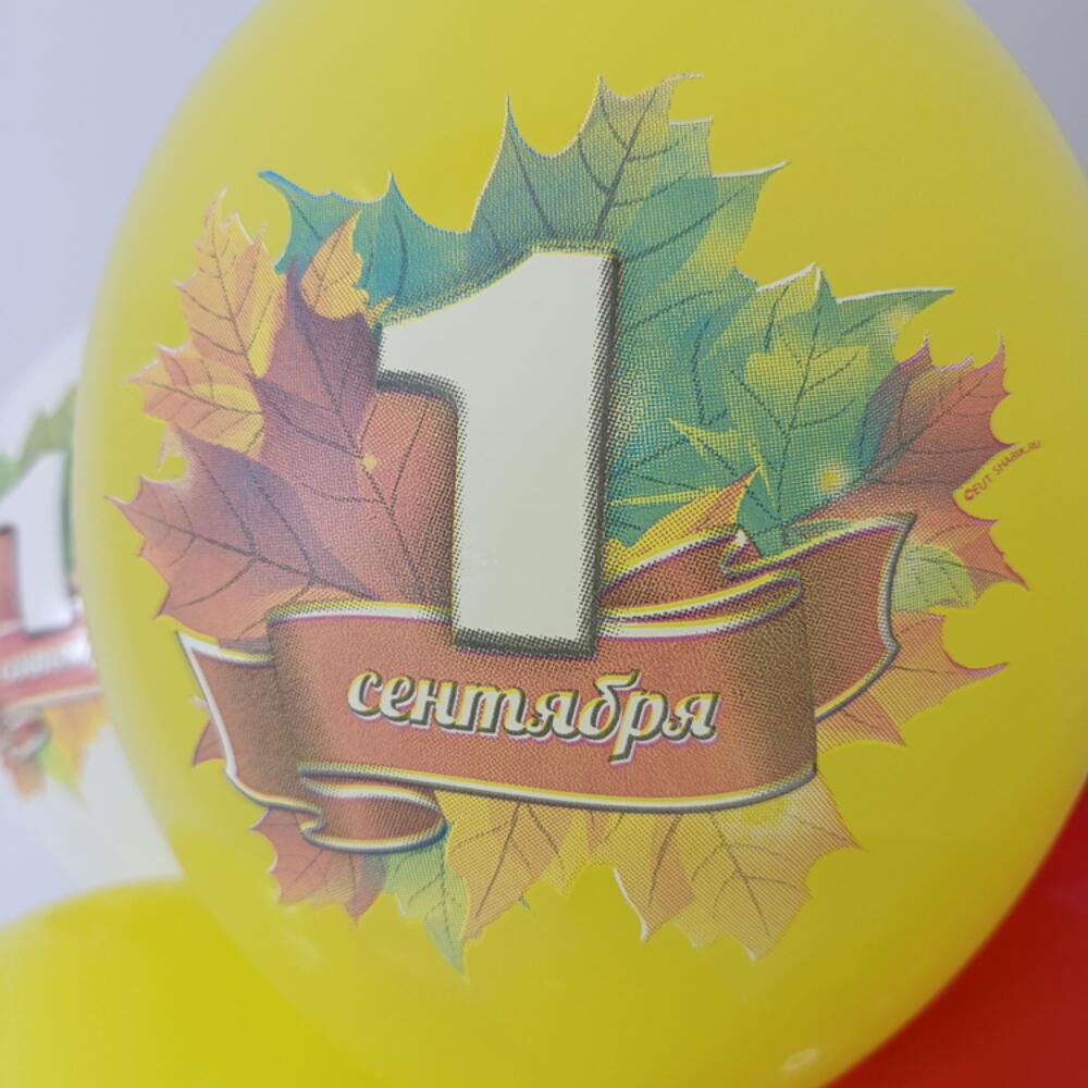 Шары на 1 сентября "Лист клена", 10 шаров